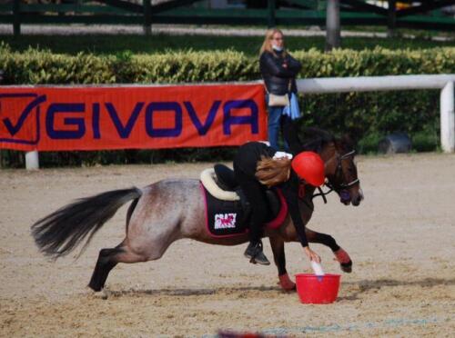 pony1