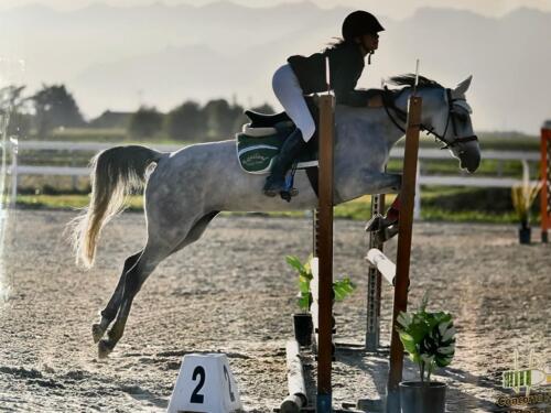 salto